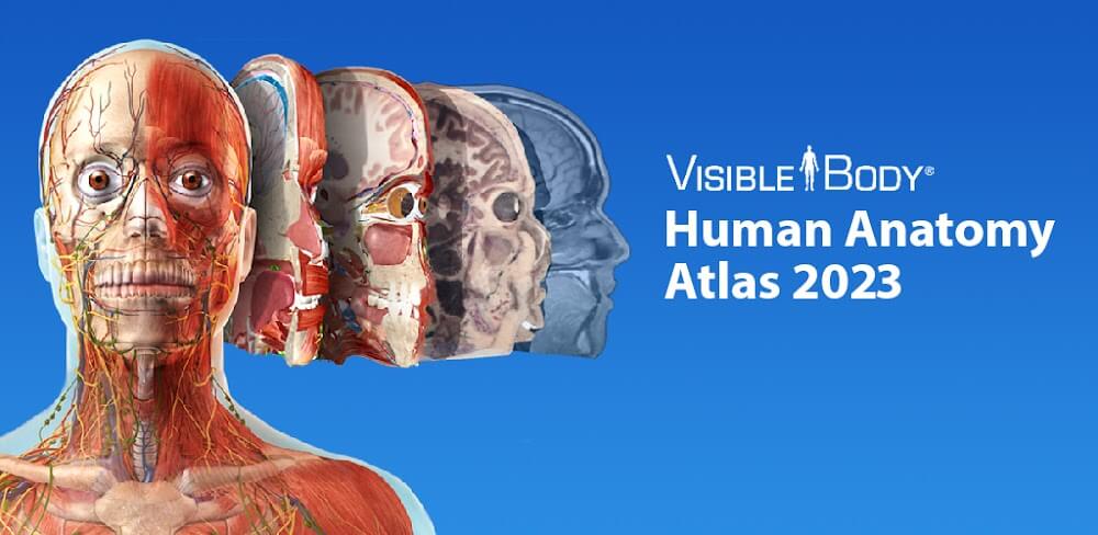 Human Anatomy Atlas 2025