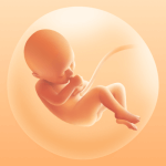 Pregnancy and Due Date Tracker icon